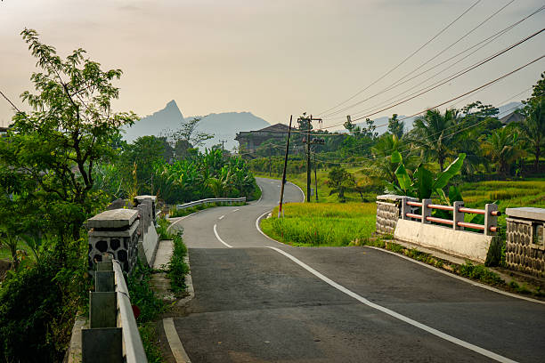 Scenic view of an asphalt road curving through lush green rice paddies and tropical vegetation, leading towards a distant hill or mountain. Beautiful rural landscape in Indonesia.