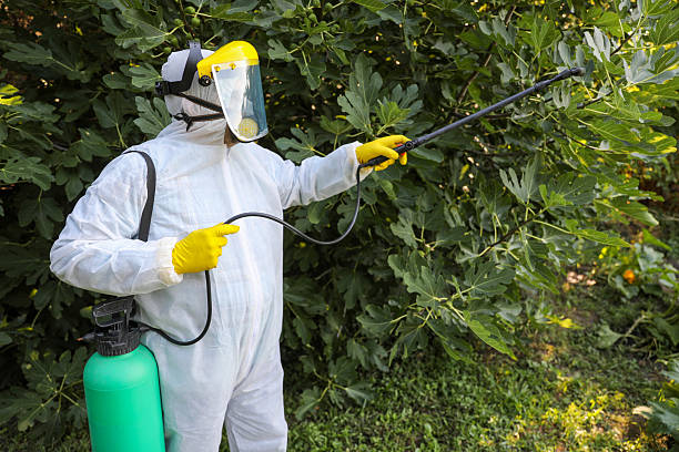 istock Man in Protective Equipment Spraying Fruit Trees Outdoors 2238059863
