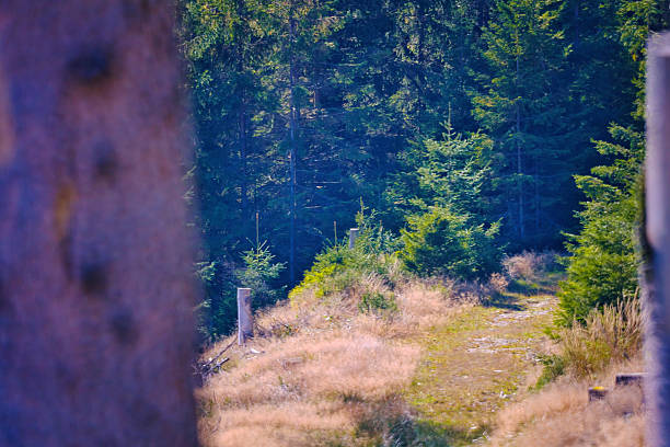 It is autumn in the Thuringian Forest