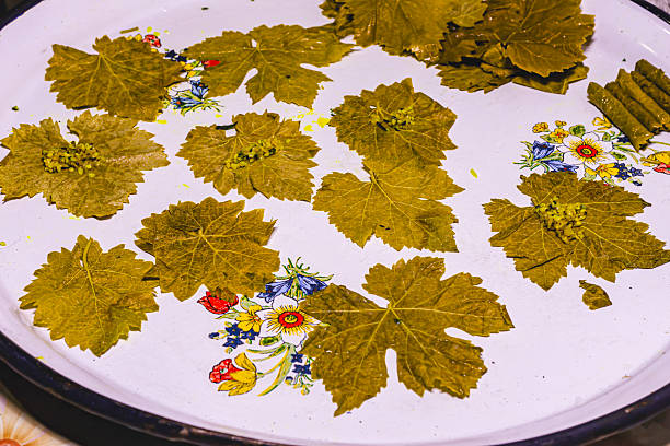 Isolated grapevine[B]more >