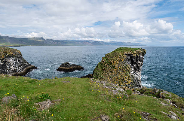 istock Arnarstapi basalt rocks  in atlantic ocean in Iceland 2238067790