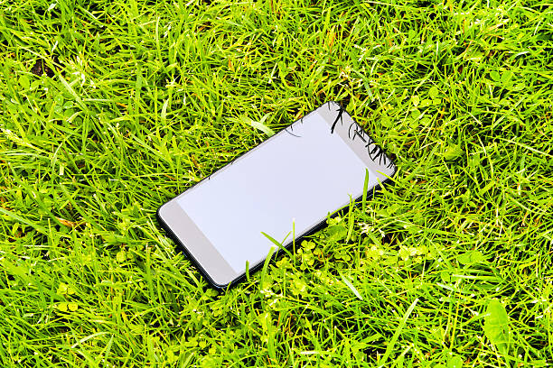 Lost Mobile Phone on the Grass outdoor