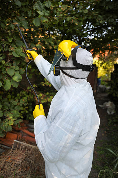 istock Worker Conducting Pesticide Application in Agricultural Field 2238070201