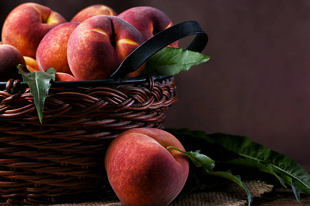 Still life of a brown woven basket fillled with fesh picked yellow peaches with a mottled background with copy space.