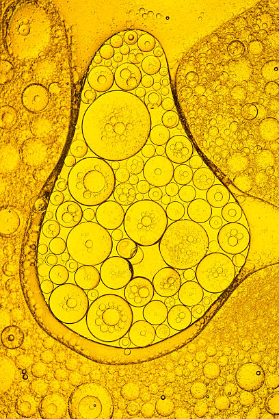 istock Macro yellow oil bubble texture,Abstract various yellow bubbles oil or serum with copy space background banner. cosmetic or spa ingredient concept. 2238077804
