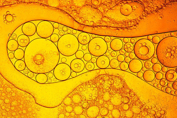 istock Macro yellow oil bubble texture,Abstract various yellow bubbles oil or serum with copy space background banner. cosmetic or spa ingredient concept. 2238077807