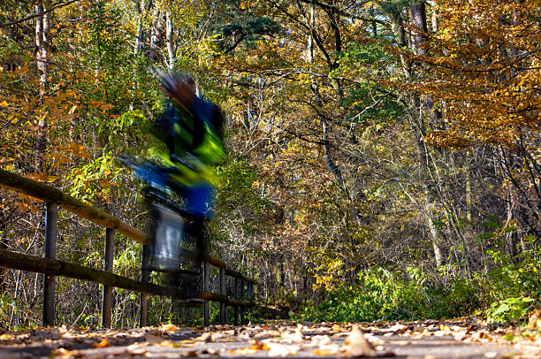 A cyclist rides on way in an autumn landscape