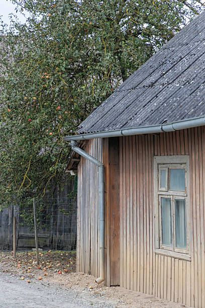A close-up view of an old, wooden outbuilding with a gray slate roof and window, next to a large apple tree, with scattered fallen apples on the dirt ground.