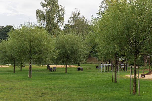 istock Green Lawn with Willow Trees and Outdoor Gym 2238094074