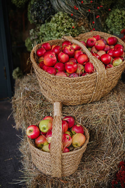istock Two woven baskets filled with fresh red and green apples rest on straw bales. 2238096458