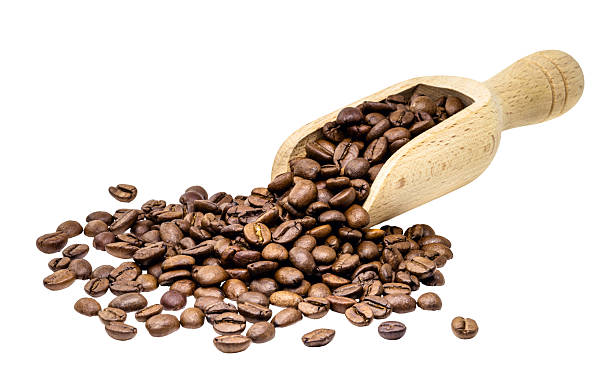 istock Brazil coffee seeds, arabic seeds seeds on white background, isolated copyspace 2238104356