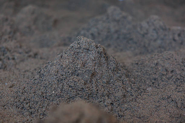 istock Granular Brown Soil Mounds Arranged in a Natural Pattern Outdoors 2238105843