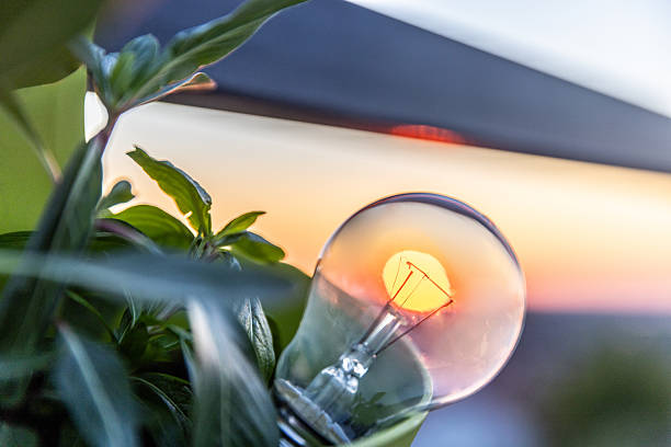 Light bulb creatively used to frame the vibrant setting sun, surrounded by fresh green leaves and complemented with warm, colorful sky tones.