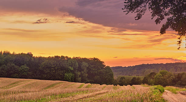 istock Sunset over a Danish countryside field with a winding path, warm autumn light, and calm rural scenery in a tranquil landscape 2238107638