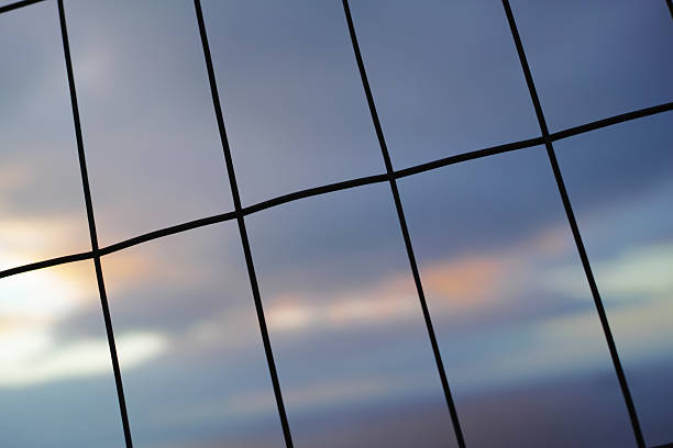 Image of a wire grid bending slightly, captured in sharp detail against an out-of-focus sunset that paints the evening sky with pastel hues, symbolizing confinement and freedom.