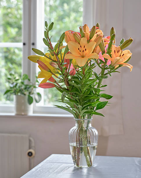 istock Bright room with fresh lilies in a vase by a window 2238108524