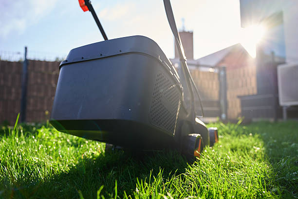 istock Electric lawn mower cutting green grass in backyard 2238109547