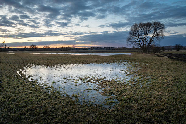 istock Water in a meadow with a tree and the evening sky 2238112431
