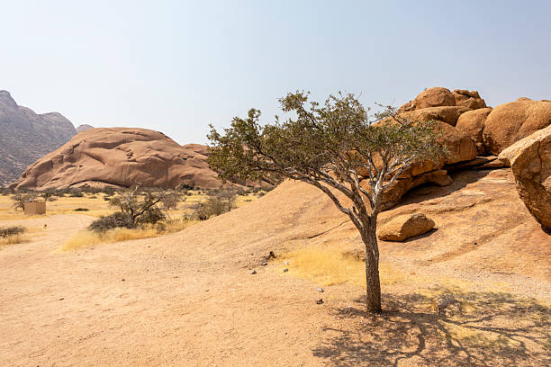 istock Granite peaks and rugged desert landscape at Spitzkoppe Community Campsite, Namibia 2238115206