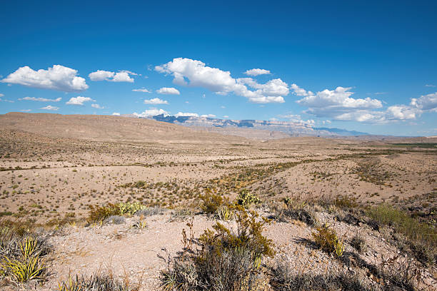 istock Big Bend National Park 2238119693