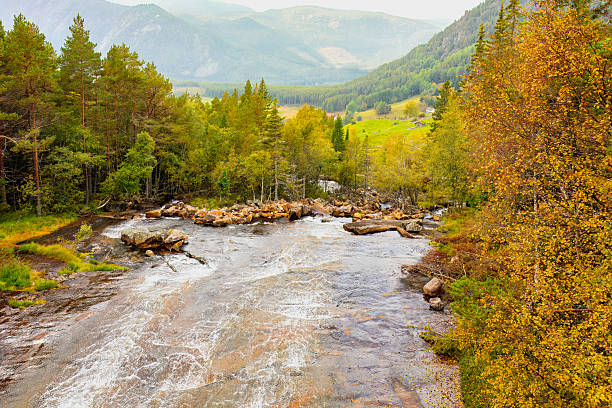 Scenic river flowing through lush green forest with autumn foliage, rocky banks, and distant mountains creating a tranquil natural landscape for outdoor enthusiasts. Dalen,Norway