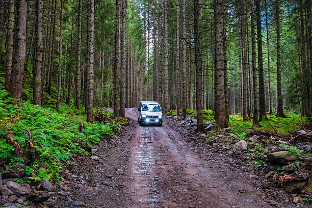 Van drives on a forest road in the Fagaras Mountains near Fagaras, Romania on a sunny day.