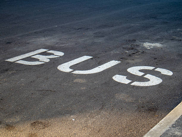 istock Painted Bus Stop Marking on Pavement in Urban Area 2238122968