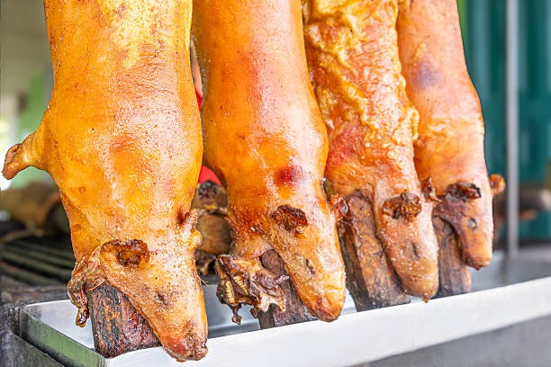 Typical food of Ecuador: guinea pig roasting on the grill, prepared with traditional Andean techniques that preserve cultural essence and offer a unique gastronomic experience.