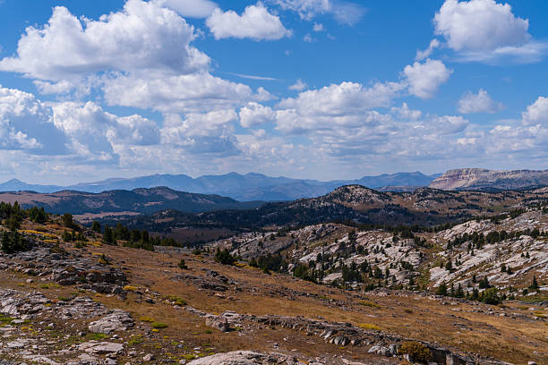 an image taken in the Grand Teton area of muntains scenery trees mounlton barn jackson arch oxbow bend clouds blud sky misty morning shot and wildlife including bison