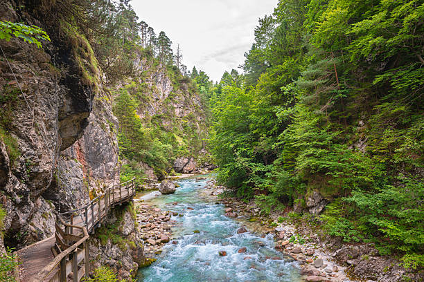 istock Tranquil mountain river gorge with wooden walkway through lush forest and cliffs. 2238127755