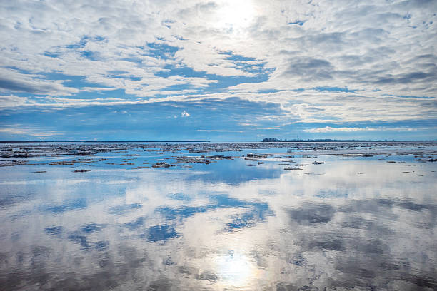 Landscape of the Vistula Spit by the Baltic Sea. Poland
