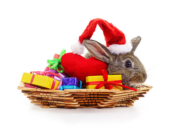 Cute rabbit wearing Santa hat sitting in a basket with colorful gift boxes and red heart pillow on white background. Festive Christmas and New Year holiday concept with adorable bunny and presents.