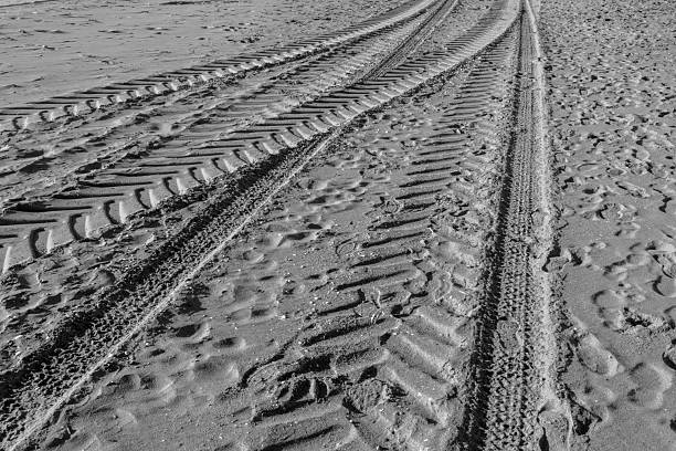 Tire tracks cut through golden sand, revealing patterns near the shore. The sun casts shadows on the beach, creating an interesting contrast and texture in the sand.
