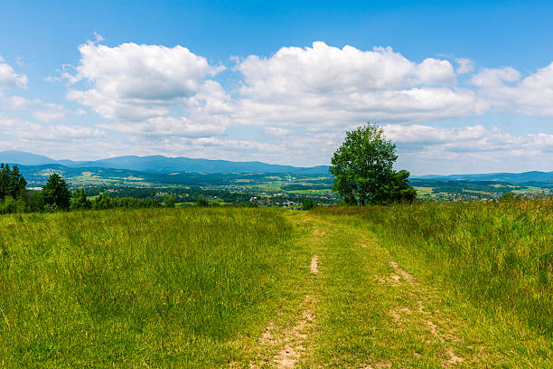 A narrow dirt path winds through a summer meadow towards distant blue mountains. Bright skies with scattered clouds highlight the peaceful rural landscape full of natural beauty.