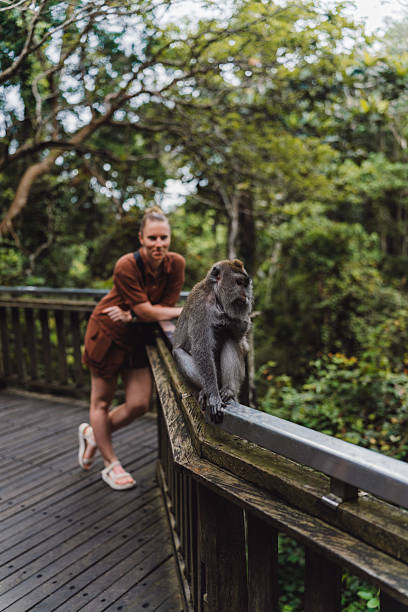istock Woman and monkey in a lush forest setting 2238147055