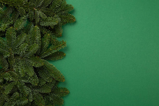 istock Christmas tree branches on color background, top view 2238151173