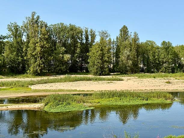 istock banks of the Loire 2238156262