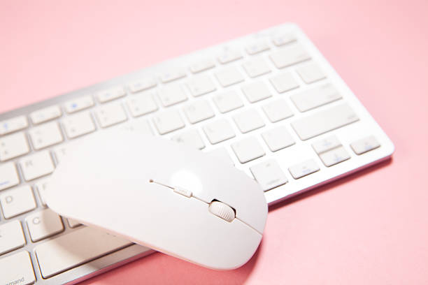 Mouse really help us work faster with the computer. Any command can be reached fast and neat.
