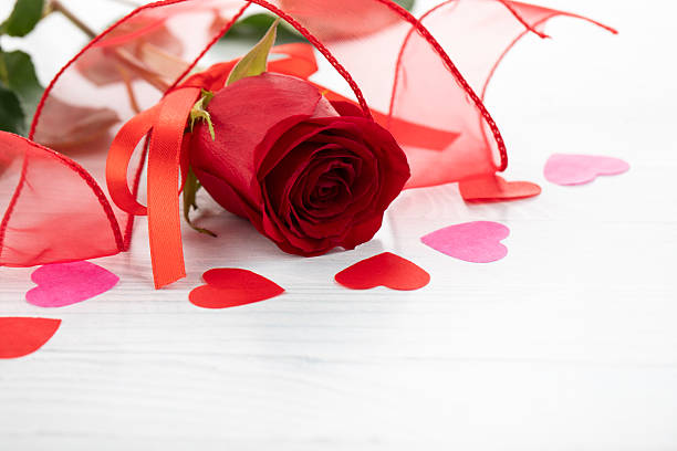 Valentines day romantic background - red rose and happy valentine's day card