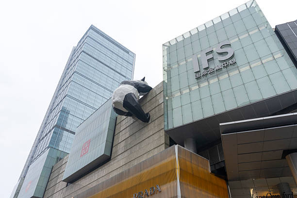 Panda sculpture by Lawrence Argent at the top of IFS building in Chengdu, China. Chengdu, Sichuan, China - Oct 16,2024 : Panda sculpture by Lawrence Argent at the top of IFS building in Chengdu, Sichuan, China on Oct 16,2024. what-if-concept stock pictures, royalty-free photos & images