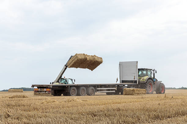 istock Tractor Loading Hay Bales onto a Flatbed Trailer in a Wide Open Agricultural Field Under a Cloudy Sky Surrounded by Nature's Fields and Forests 2238169108