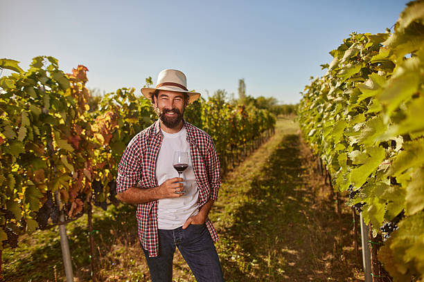 istock Smiling man holding red wine glass in vineyard 2238170763