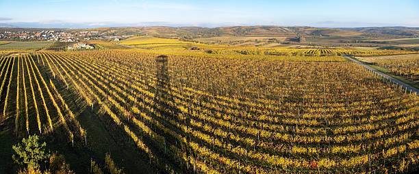 istock Velke Pavlovice among vineyards panoramic view 2238171199