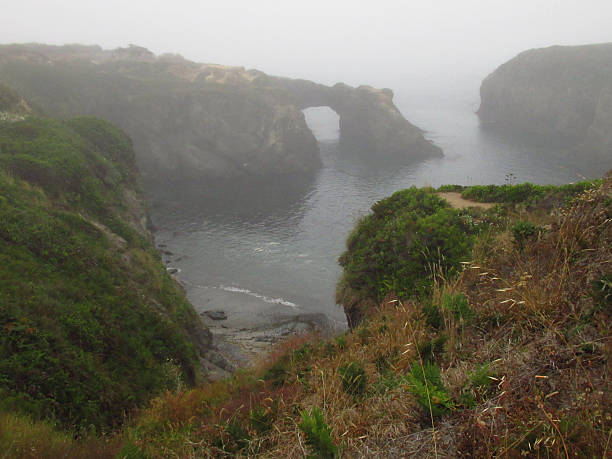 Drone shot of the coastal cliffs at Ecola Point, a place within Ecola State Park,  Shot in Clatsop County, OR on an overcast day.