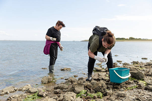 istock Oyster collection on the beach in the Netherlands 2238176270