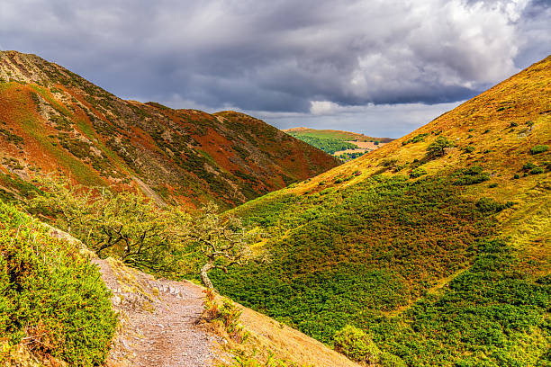 Scenic Mountain Path through Rolling Hills with Vibrant Green and Golden Vegetation under a Dramatic Cloudy Sky in the English Countryside
