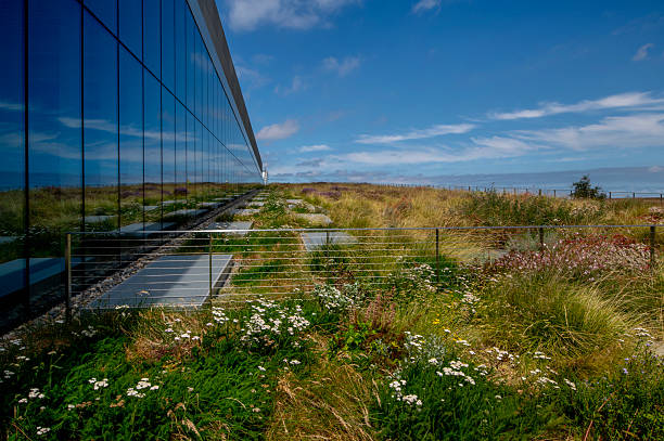 istock Roof Garden 2238181756