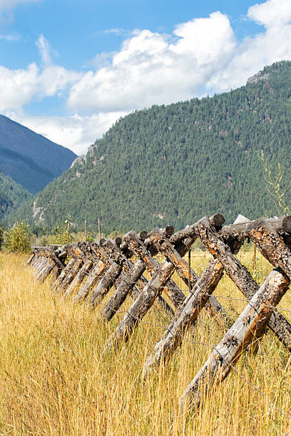 Rustic rail fence in grasslands of Sawtooth Range, Idaho