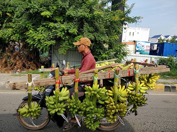 Dak Lak, Viet Nam - February 18, 2013: People transport fruit by motorcycle on road in Dak lak, Viet Nam on February 18, 2013