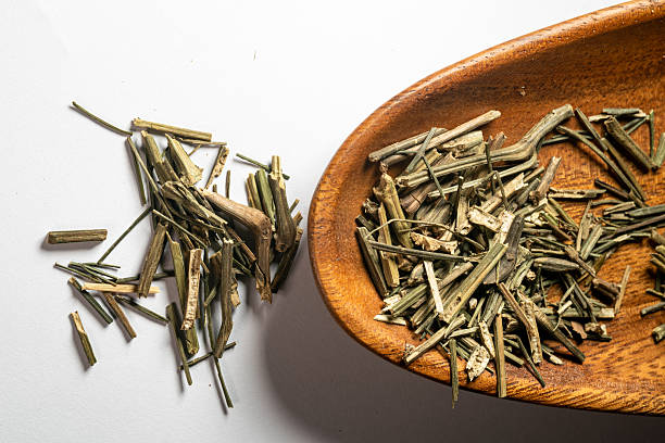 istock chinese medicine on white background: Andrographis paniculata, Herba Andrographitis, common Andrographis herb 2238187739